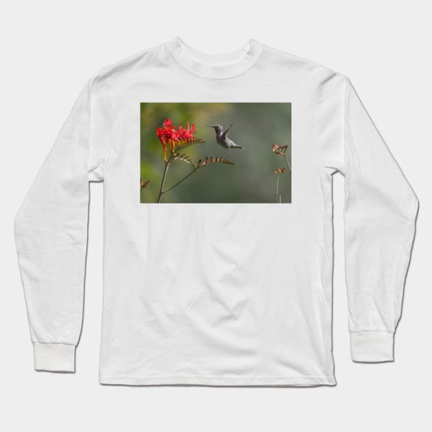 850_5886 Long Sleeve T-Shirt by wgcosby